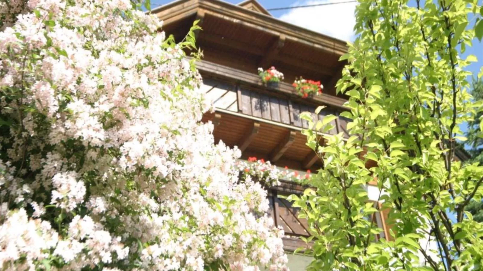 Landhaus zur Sonne-Exterior summer