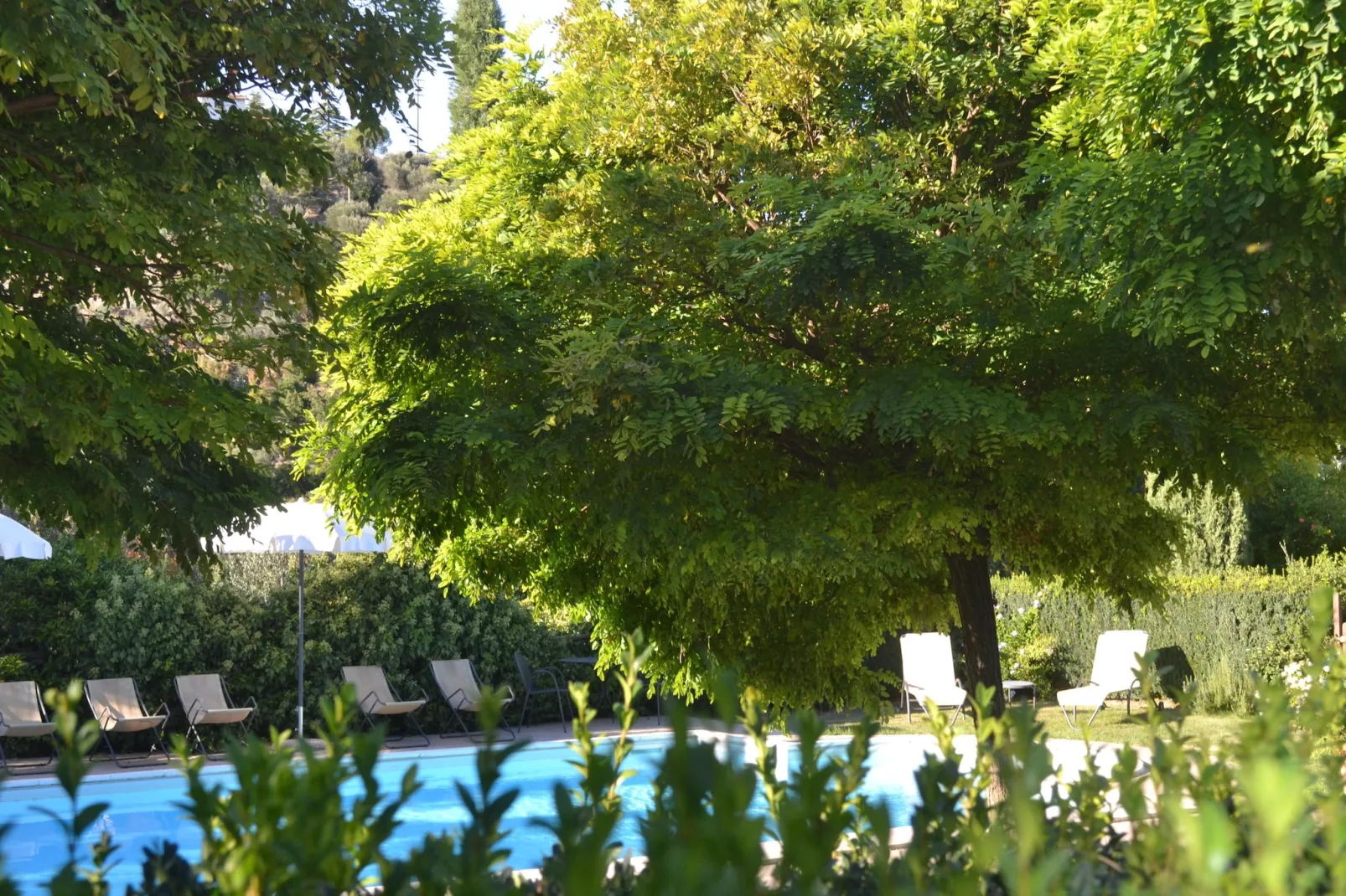Villa Montecucco-Gardens summer
