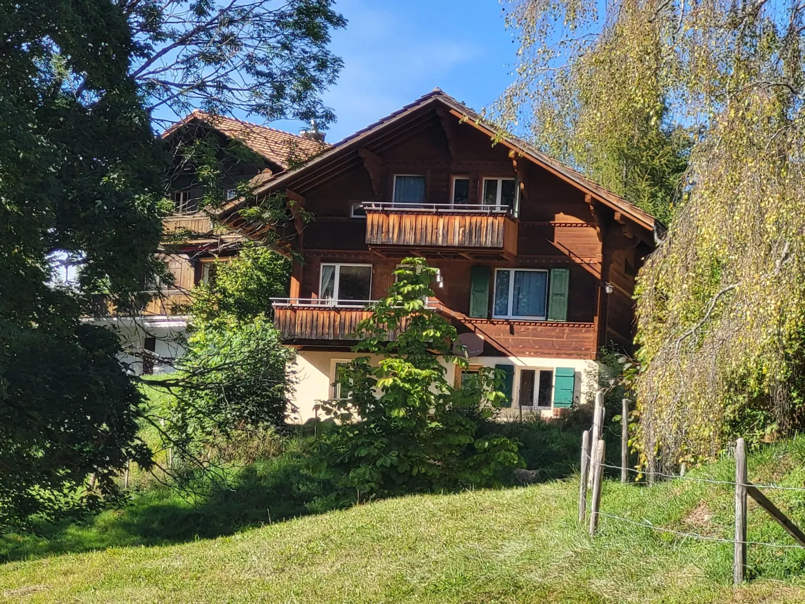 Wildbach - 10342847