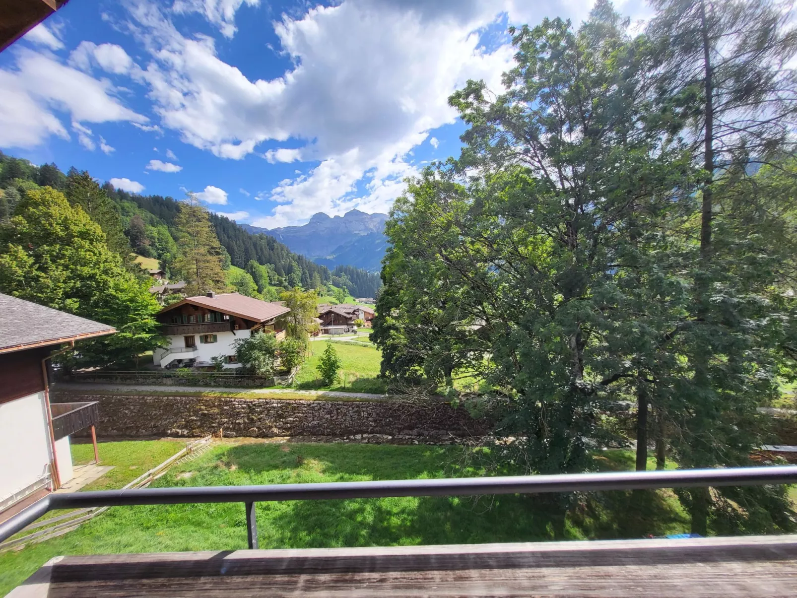 Wildbach - 10342848