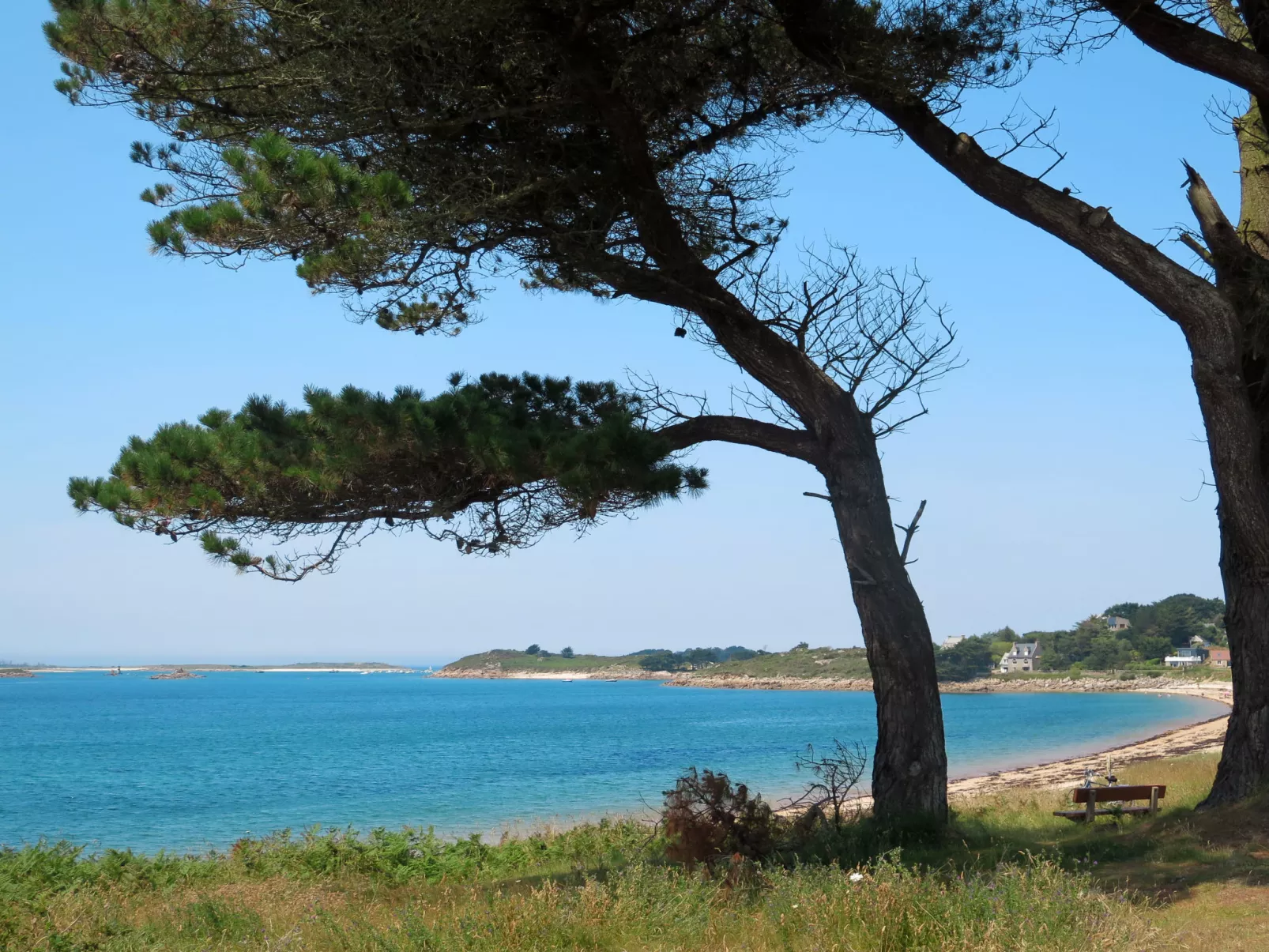 Trozoul-Area