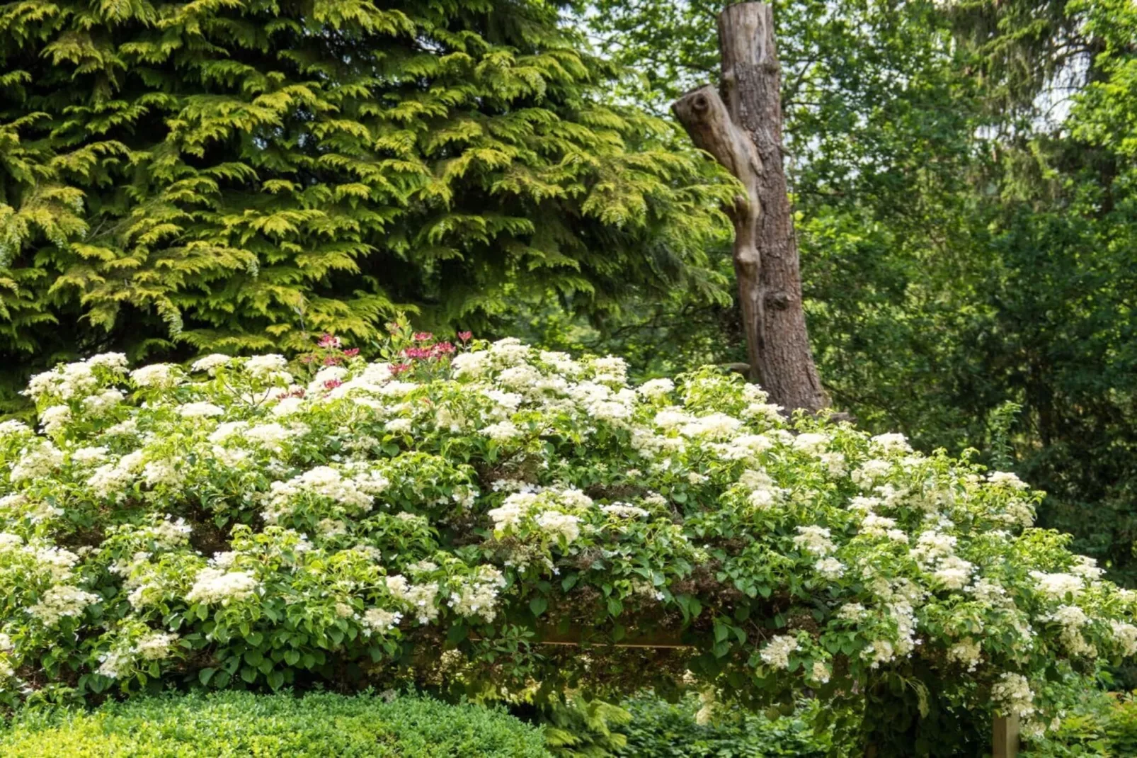 25130-Gardens summer