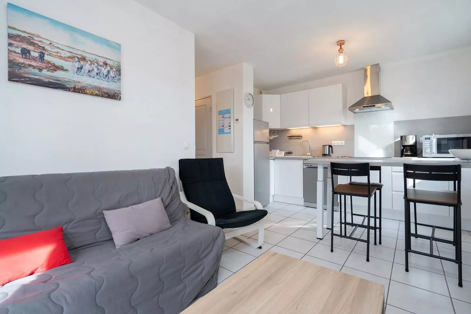 CAP CAMARGUE B N°28 - 2P4-Living room