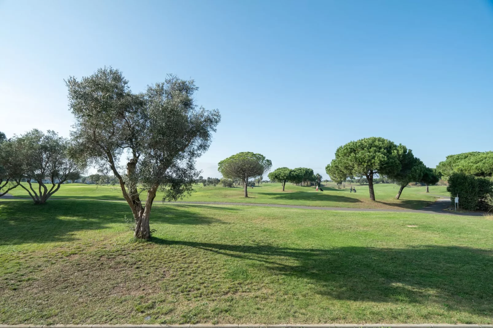 PALMYRA GOLF N°112 - 2P4-Outdoor