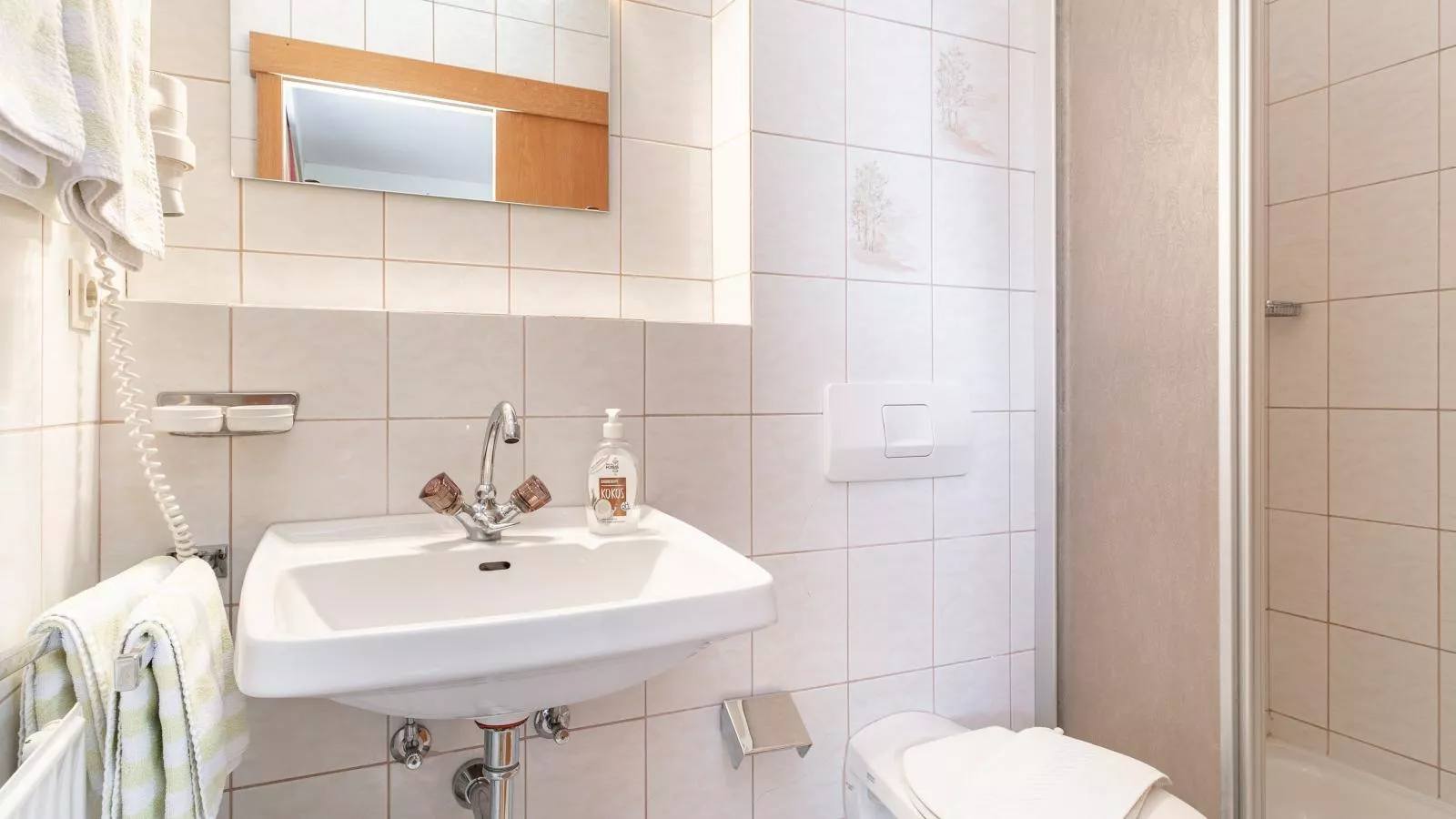 Sonnenschein 1-Bathroom