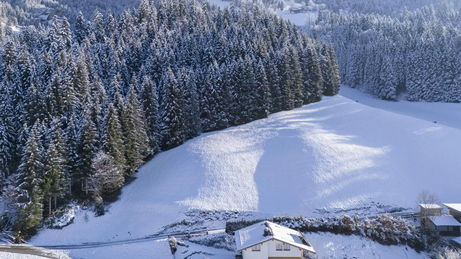 Linden Platzl-Exterior winter