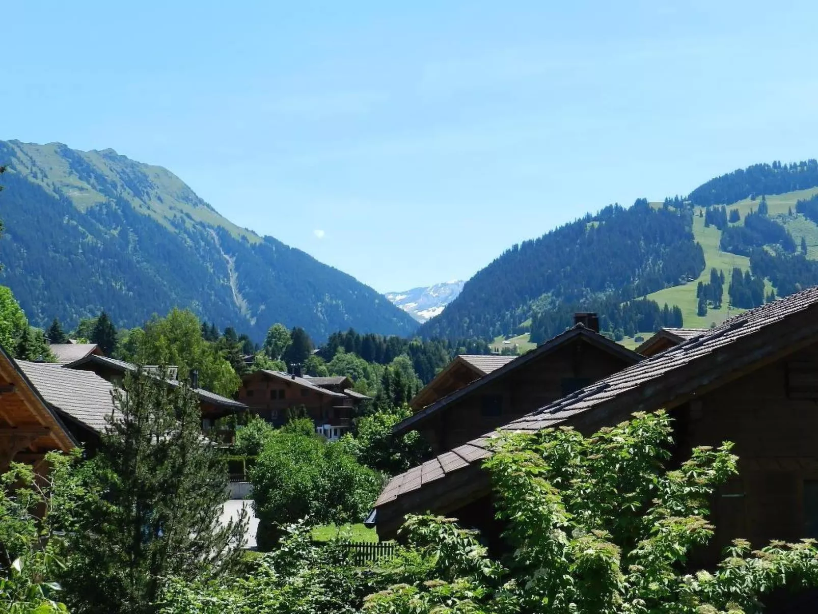Im Wiesengrund-Outside