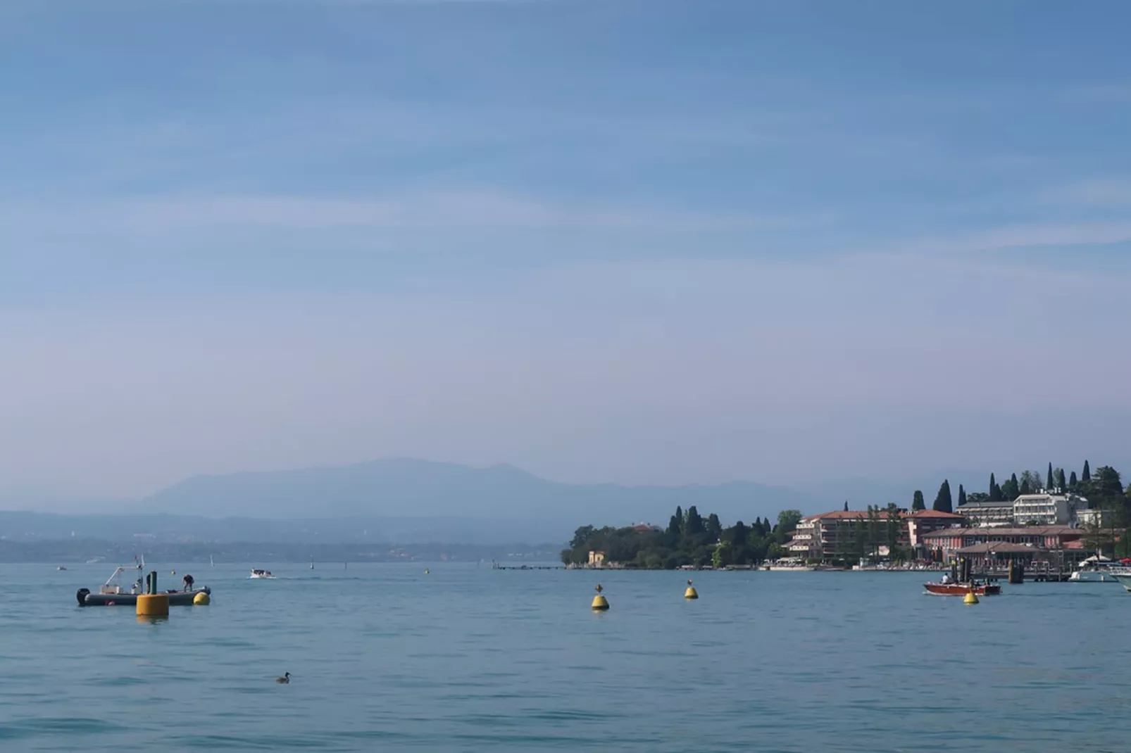 Bella Vista-Areas summer 5km