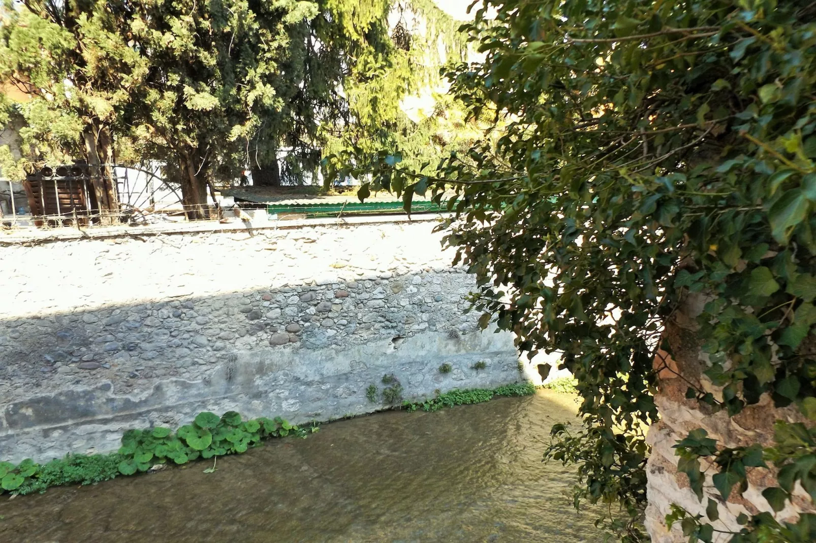 Palazzo Gusa-View summer
