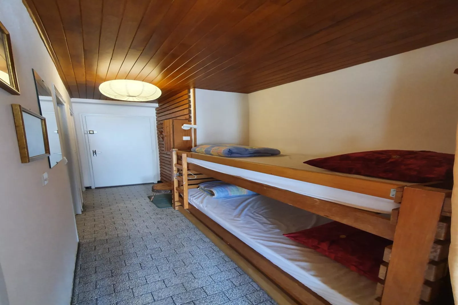 Myosotis B N°31 - ST4-Chambre