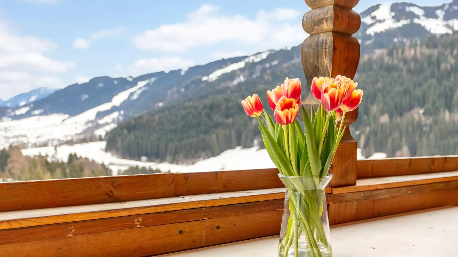 Landhaus Sonnenzauber-View winter