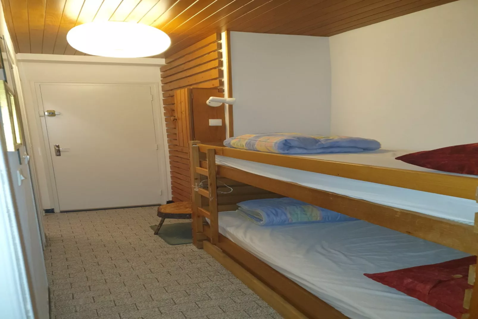 Myosotis B N°31 - ST4-Chambre
