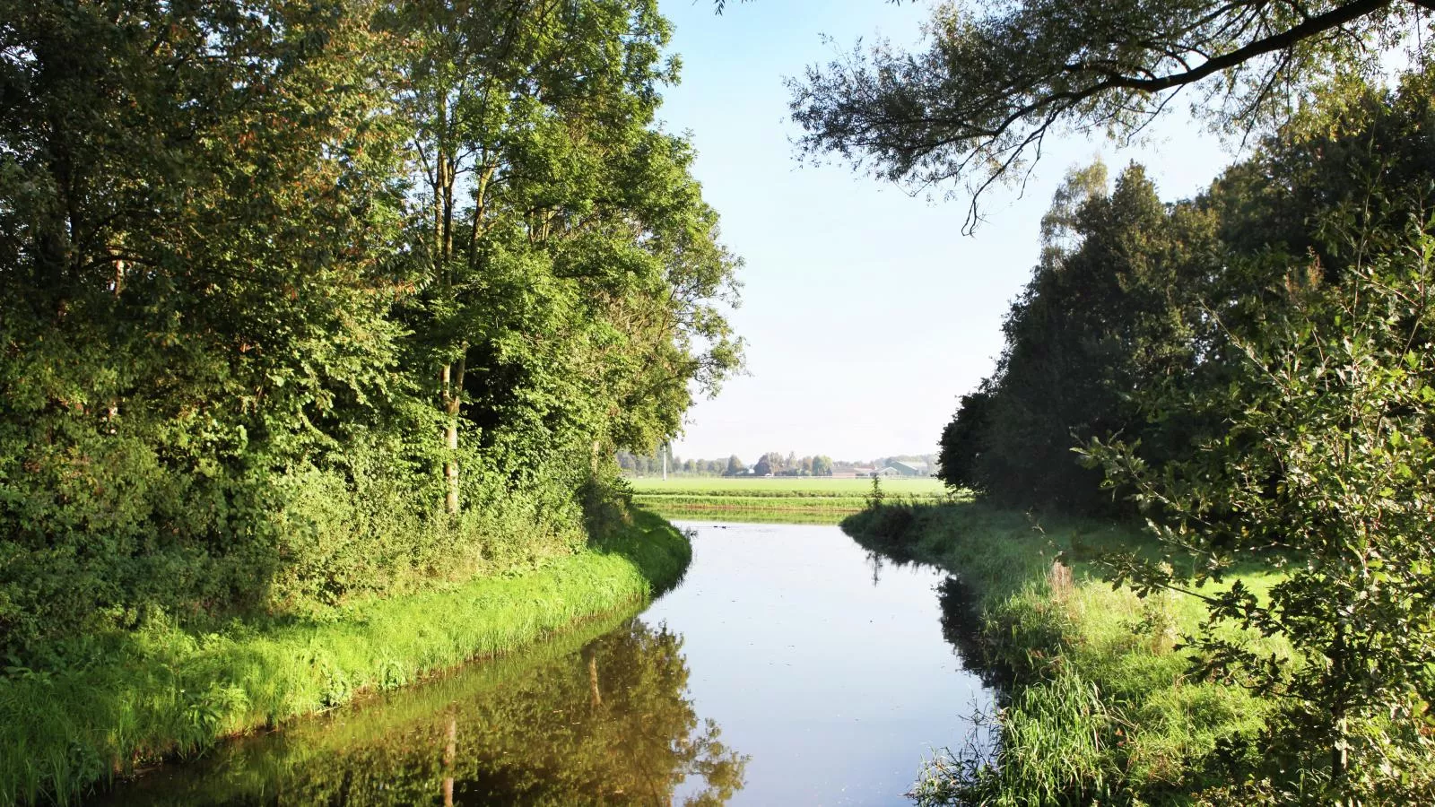 Erve Koeleman-Areas summer 5km