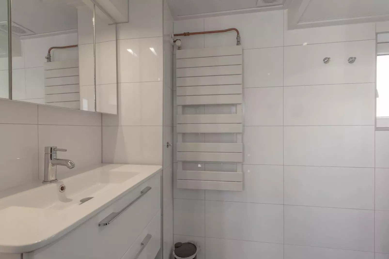 Strandhuis 't Koepeltje-Bathroom