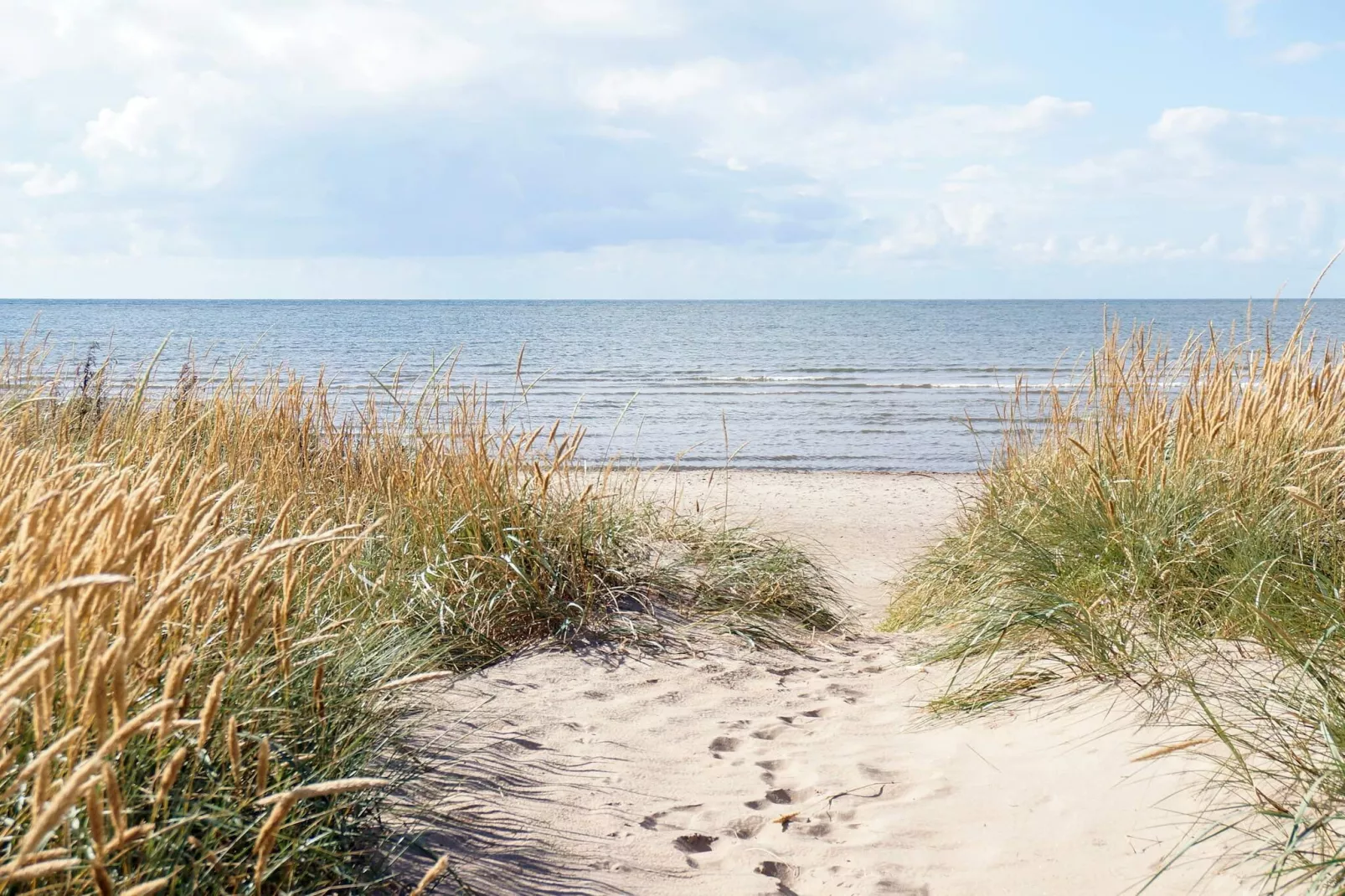 5 person holiday home in FALKENBERG-Not tagged
