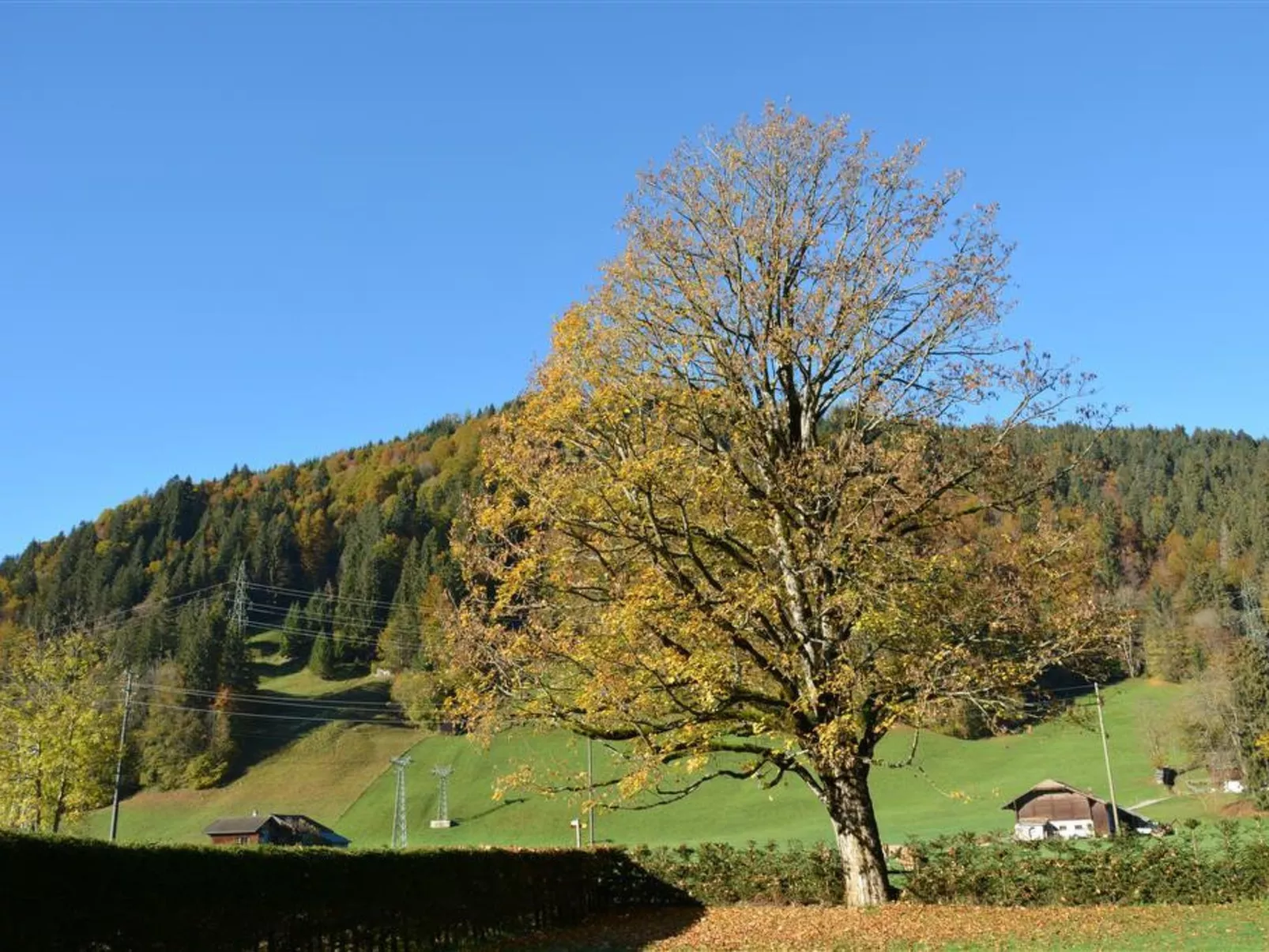 Oberland Nr. 7-Outside