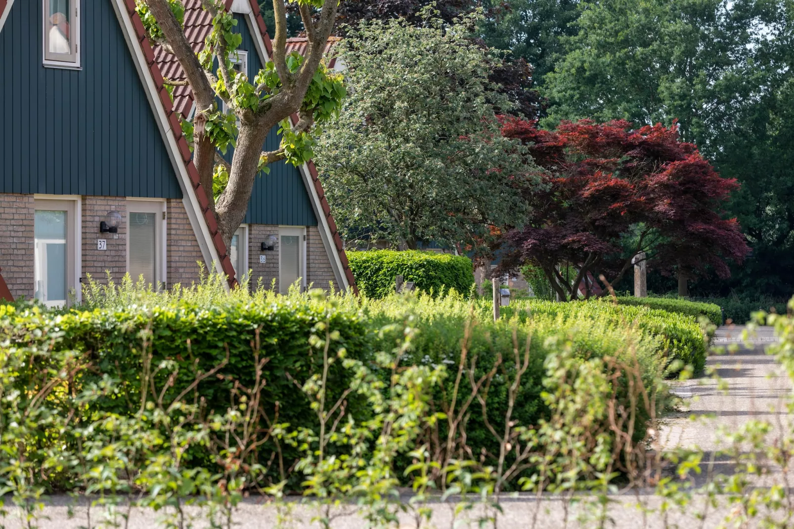 Vakantie bij Meeussen - Molendal 4-Park facilities