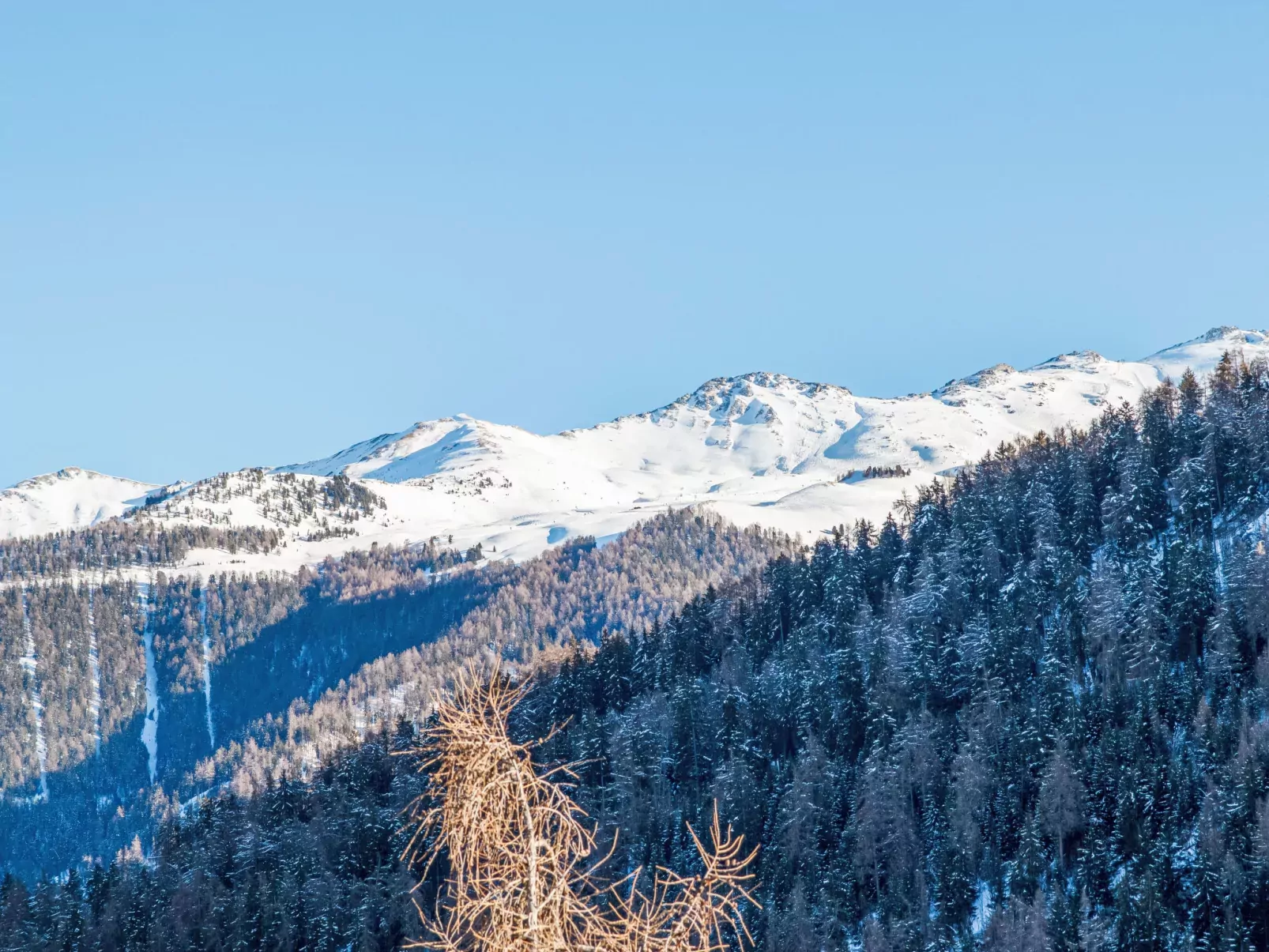 Aiglon E2-Dehors