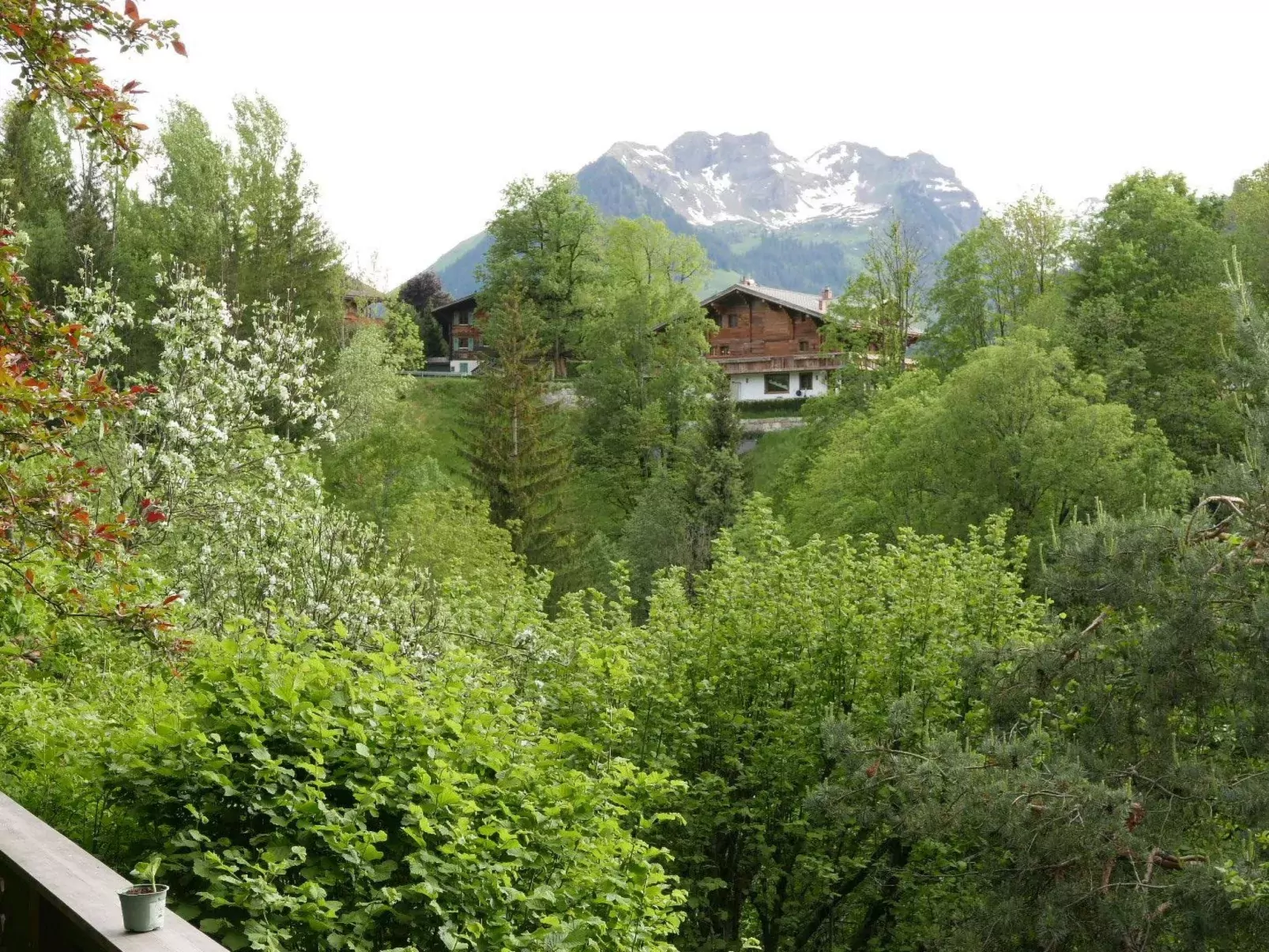 Tree-Tops, Chalet-Draußen