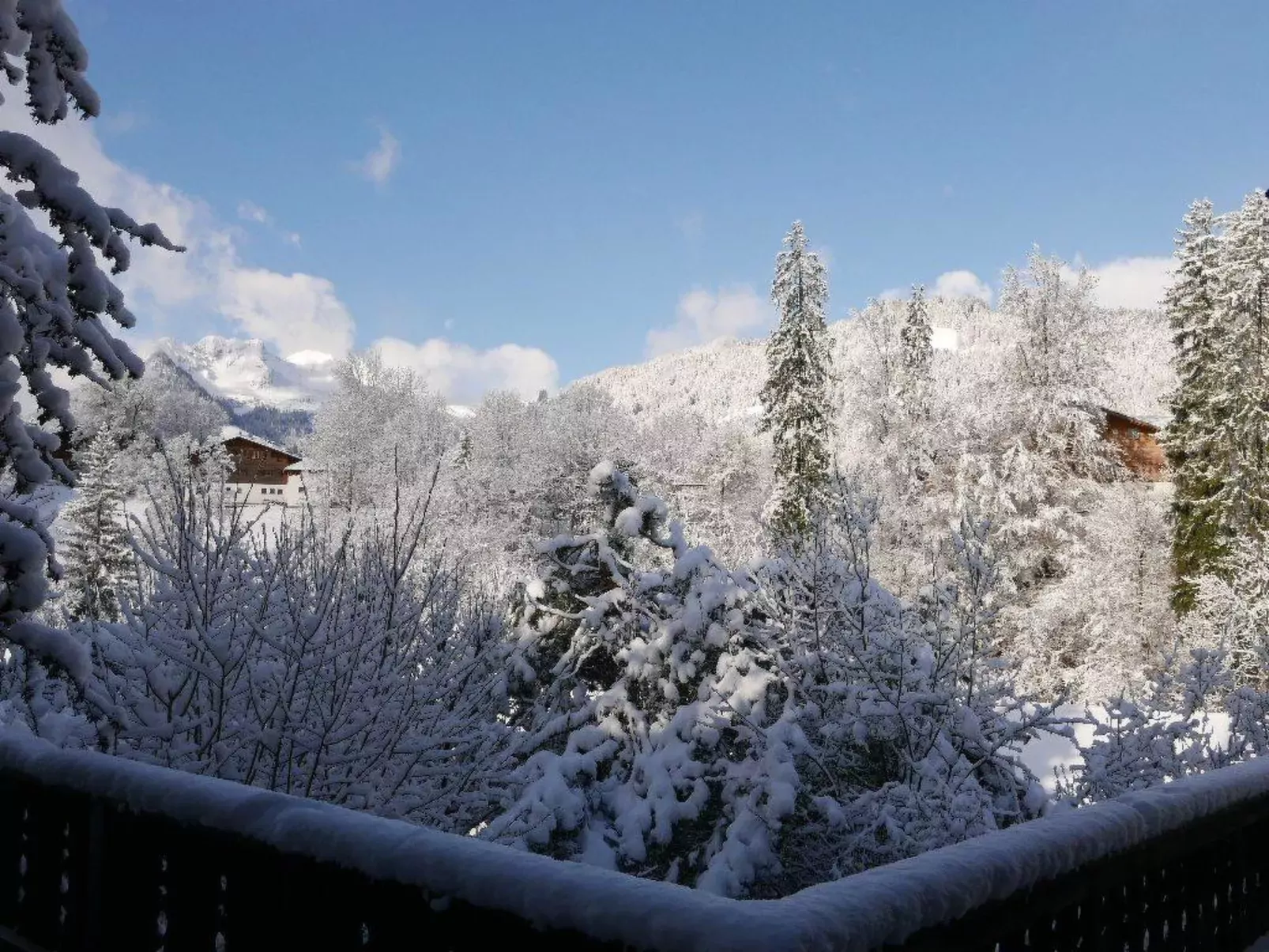 Tree-Tops, Chalet-Drinnen