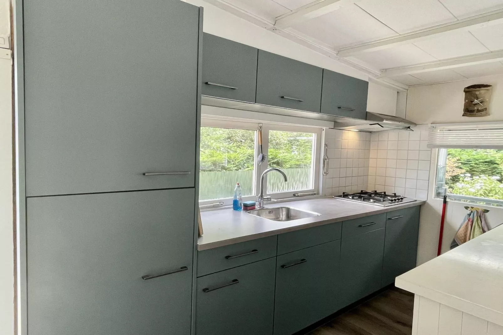 Campanula 173-Kitchen