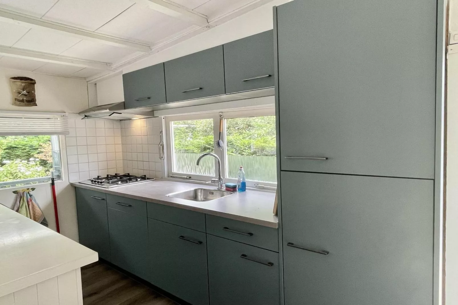 Campanula 173-Kitchen