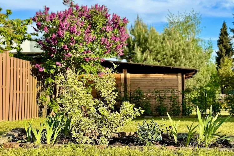 Ferienhaus Havelzeit - 3 Personen-Gärten Sommer
