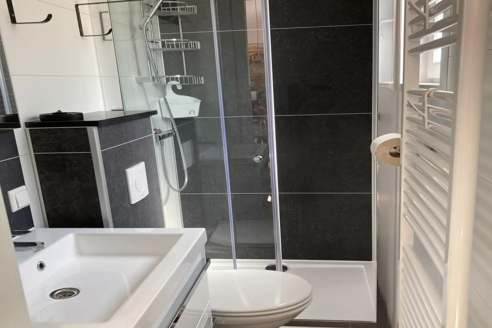 Campanula 225-Bathroom