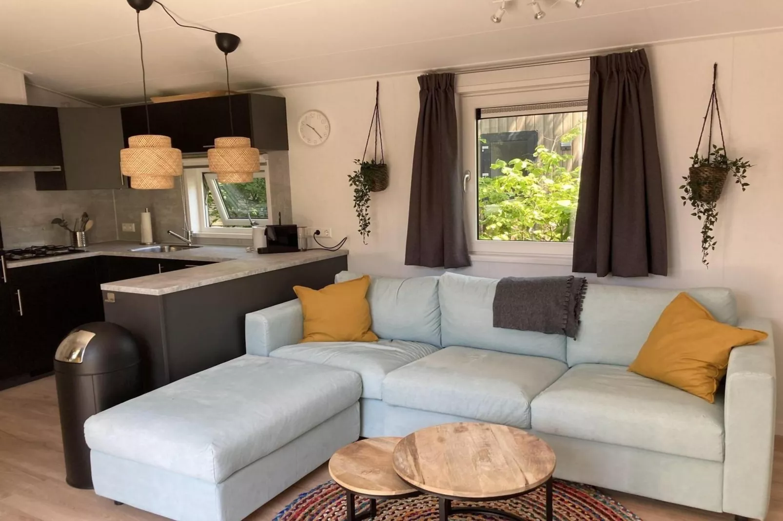 Campanula 225-Living room