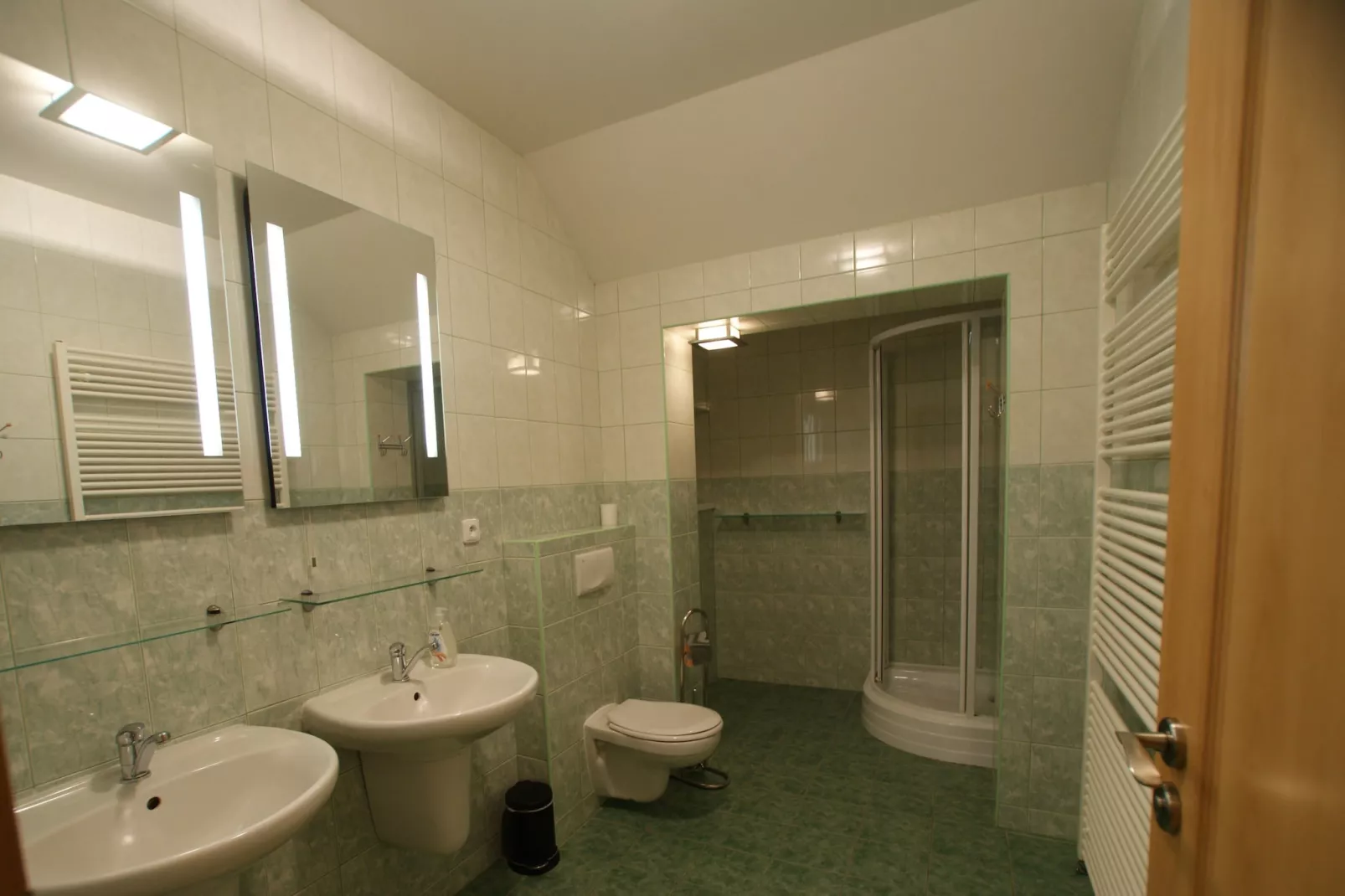 Albrechtice LAQ016-Bathroom