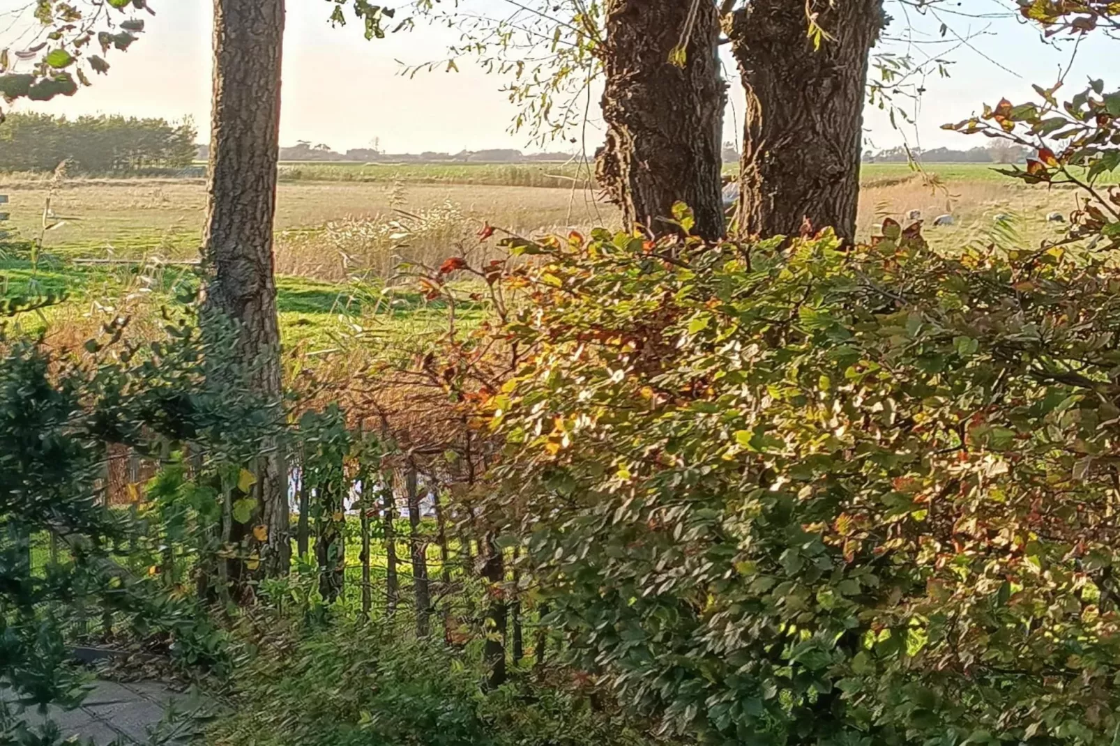 Vogelvrij 3-Gardens summer