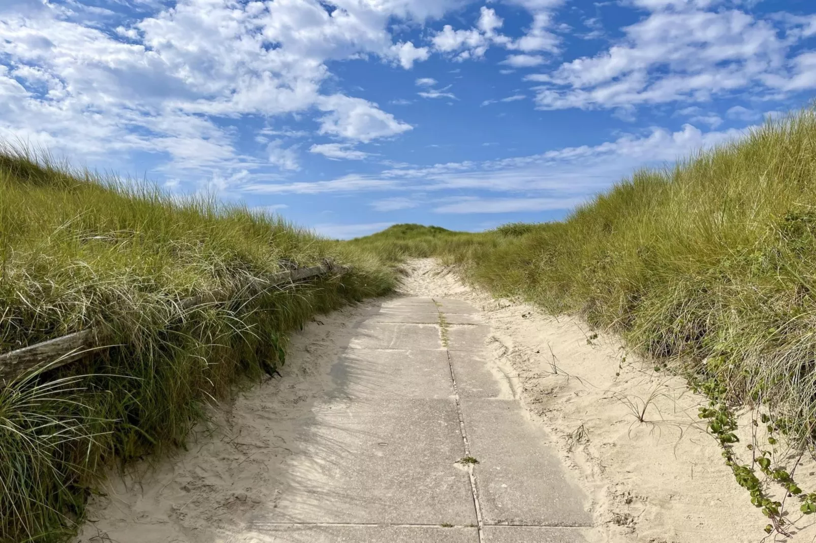 De Schelp 12-Areas summer 5km