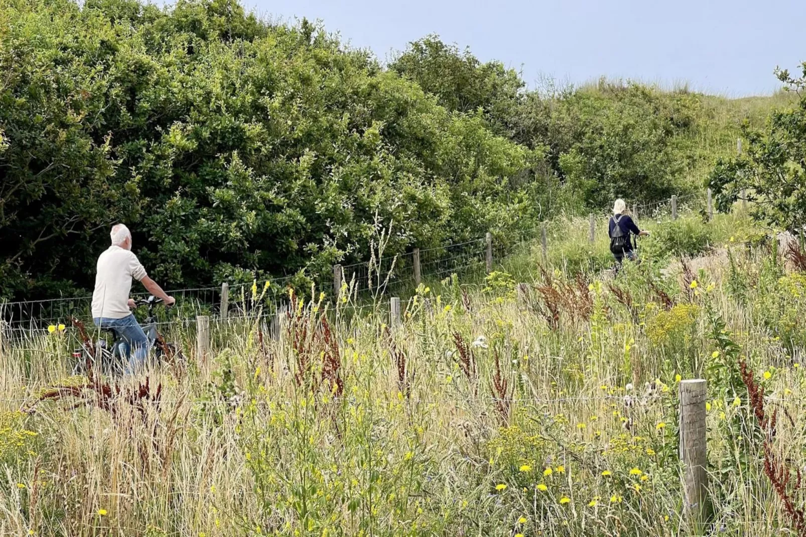 De Schelp 12-Areas summer 5km