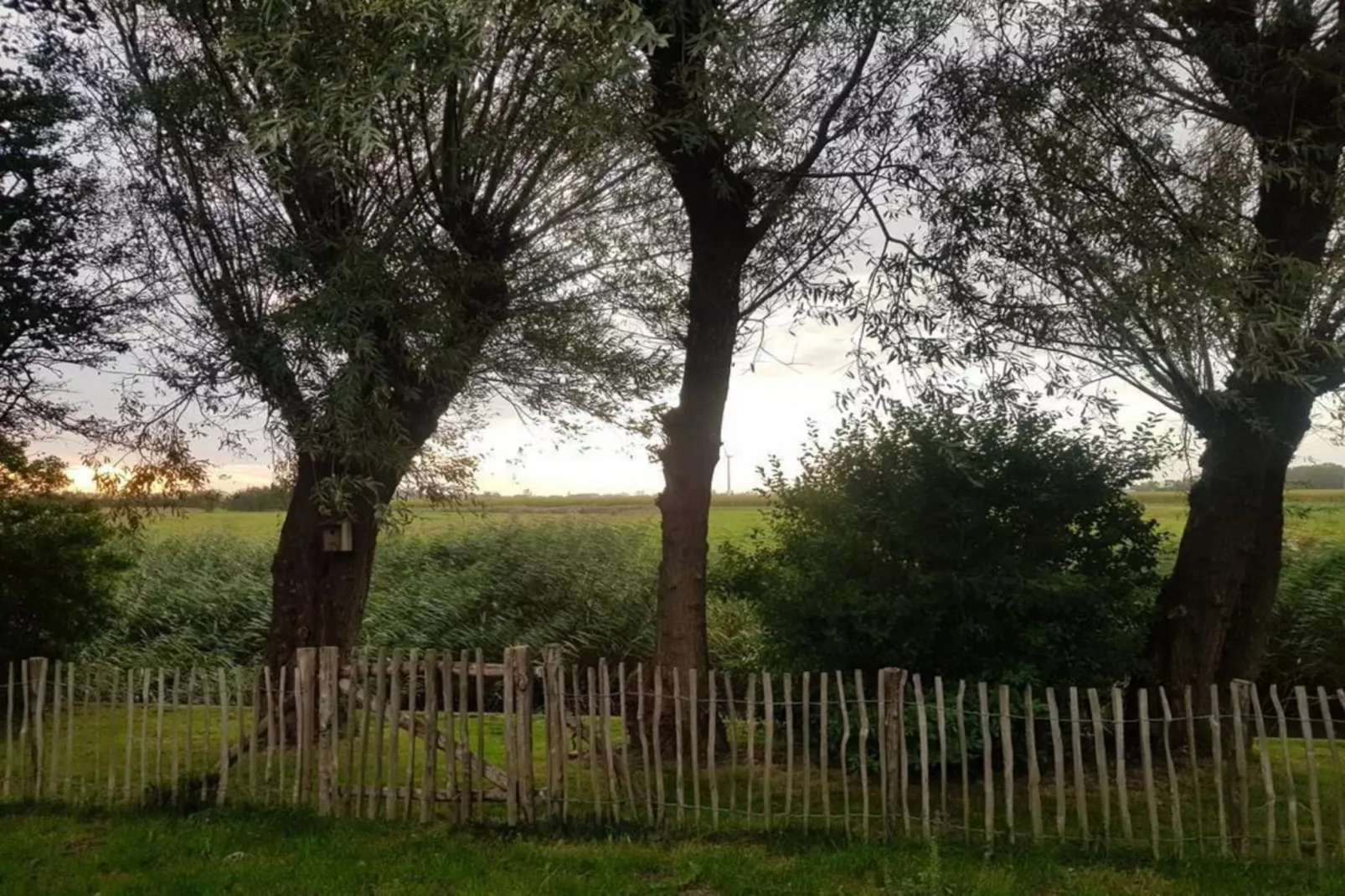 Vogelvrij 5-Areas summer 1km