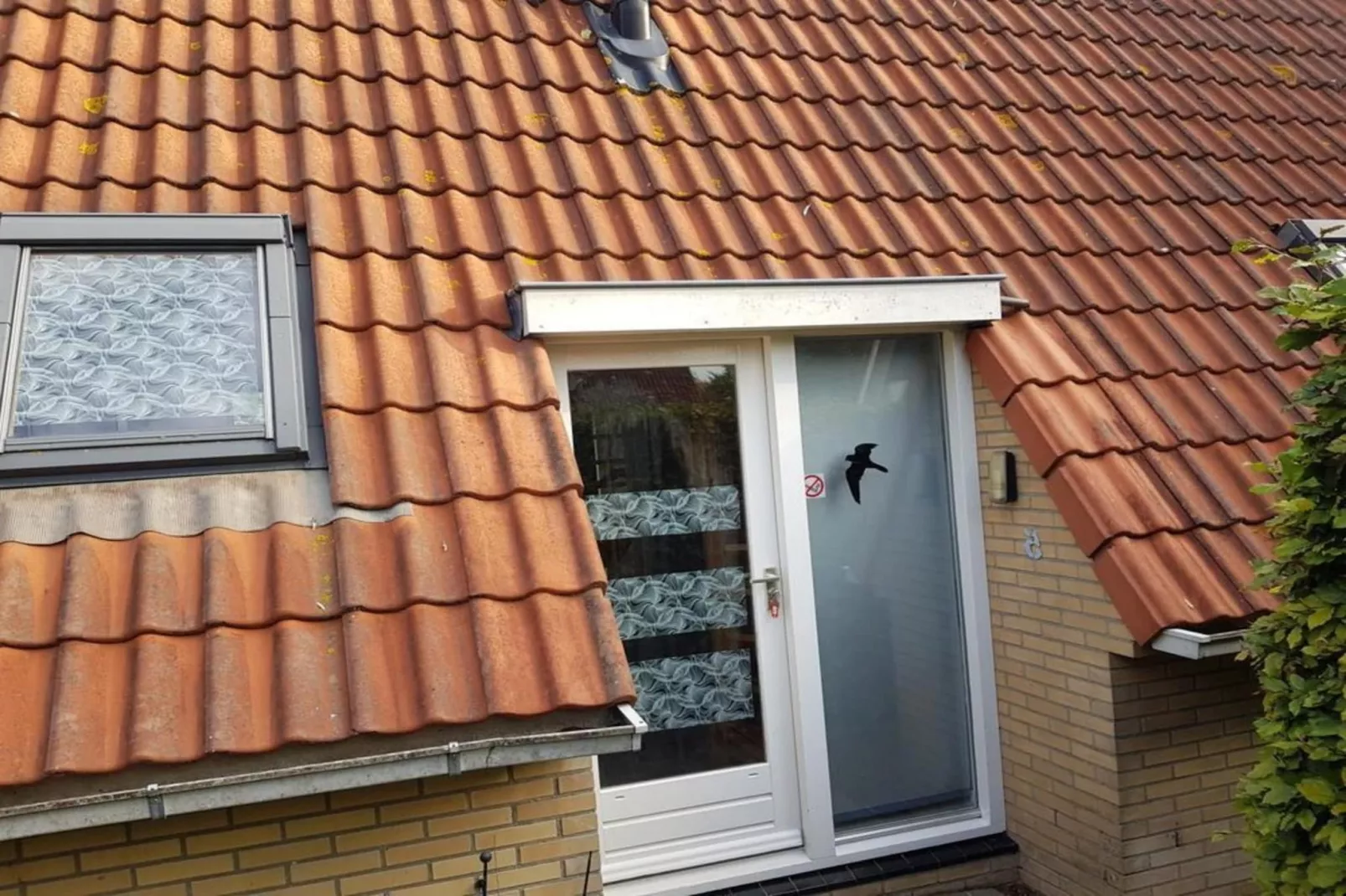 Vogelvrij 5-Bedroom