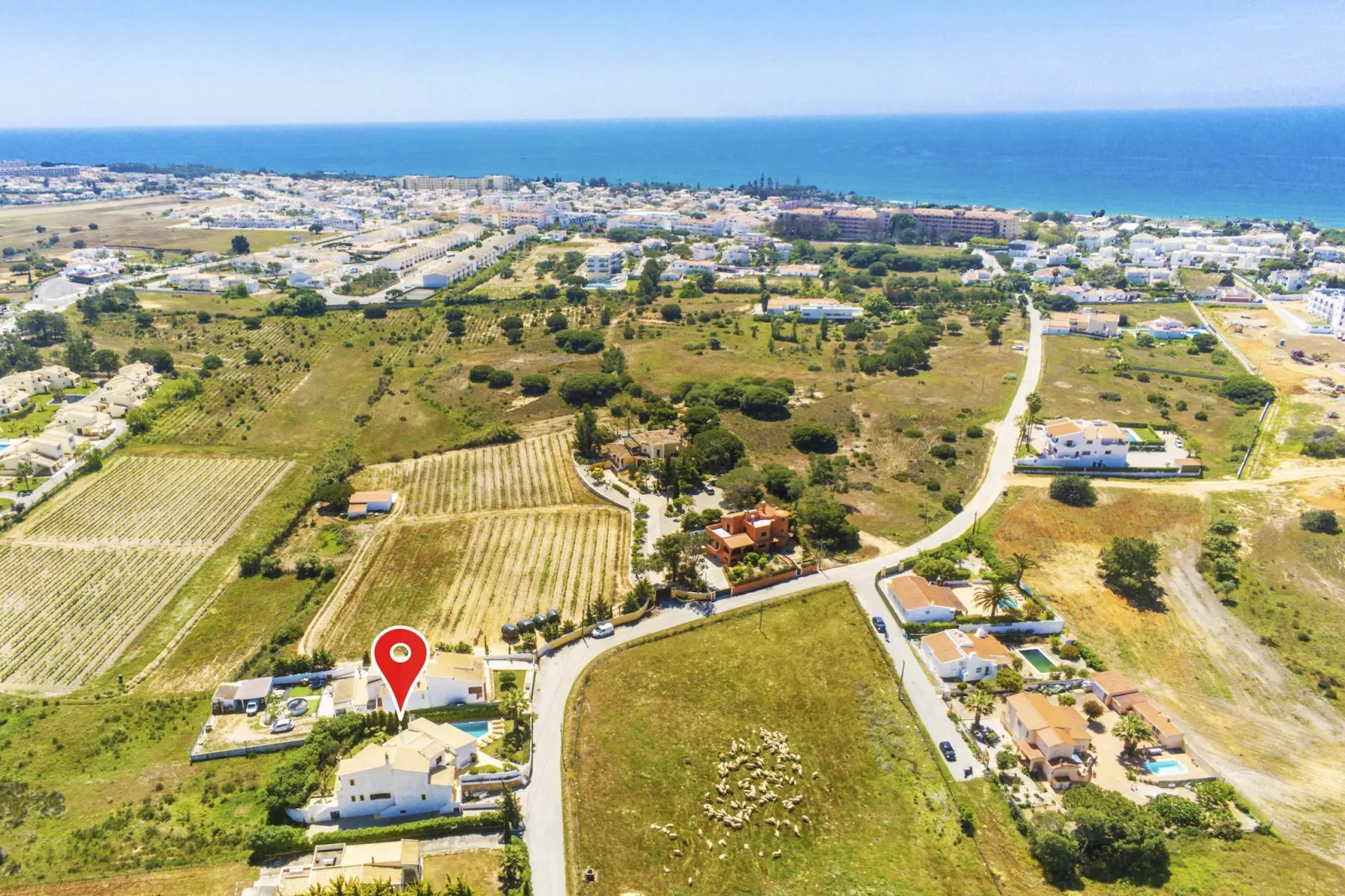 Villa Palms-Areas summer 20km