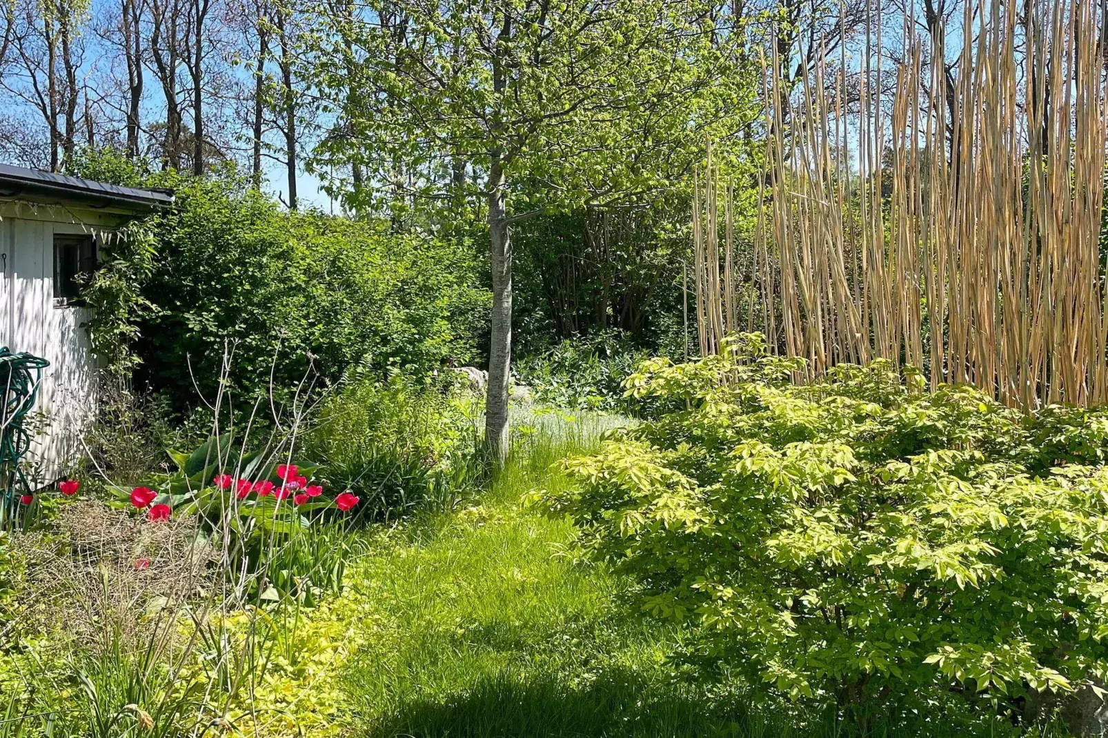 7 person holiday home in Löderup-Outdoor