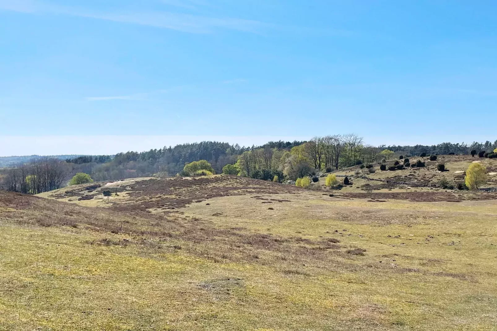 7 person holiday home in Löderup-Not tagged