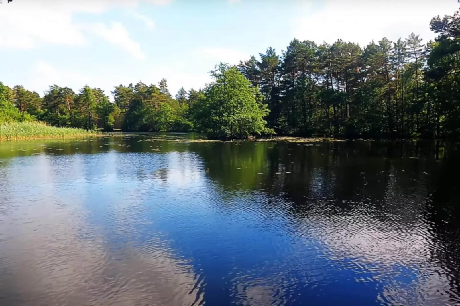 Holiday home in Kopalino-Areas summer 1km