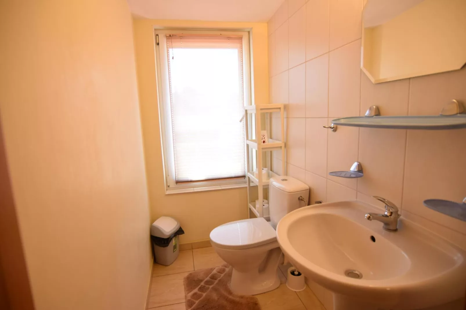 Holiday home in Kopalino-Bathroom
