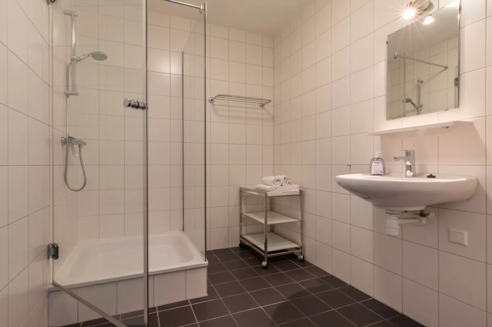 Vakantiewoning 't Zoete Licht Residenz - Willibrordusplein 28 C  Zoutelande-Bathroom