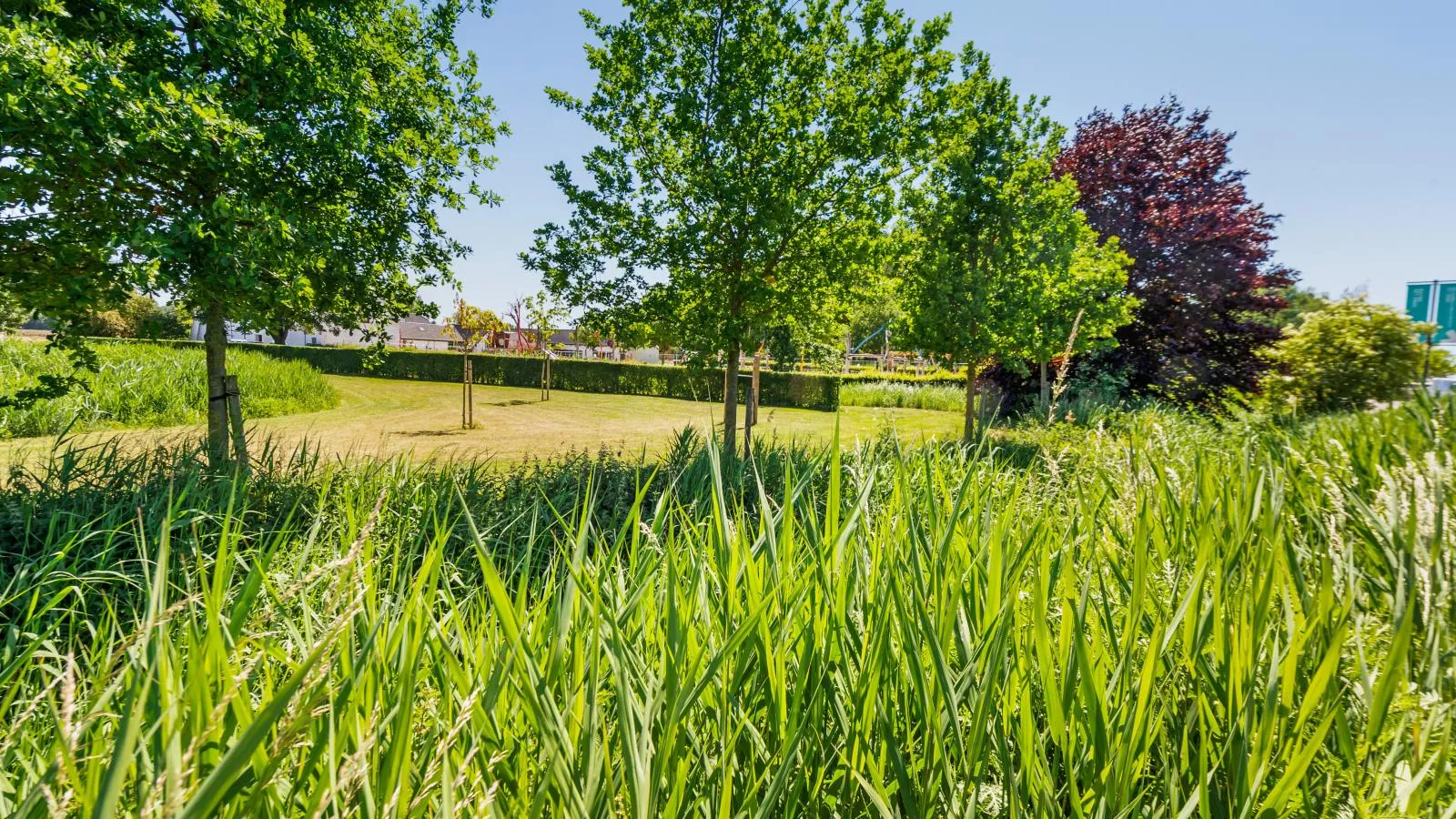 Quanto B-Gebiete Sommer 1 km