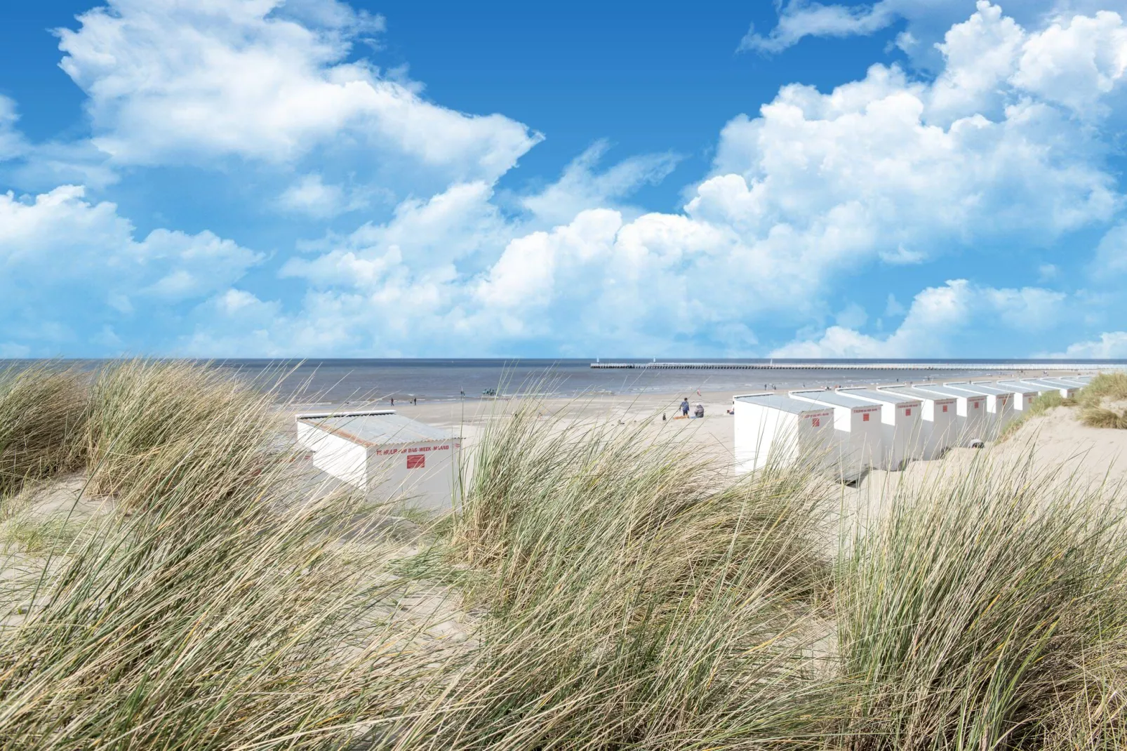Strand Imperial 0503-Areas summer 5km