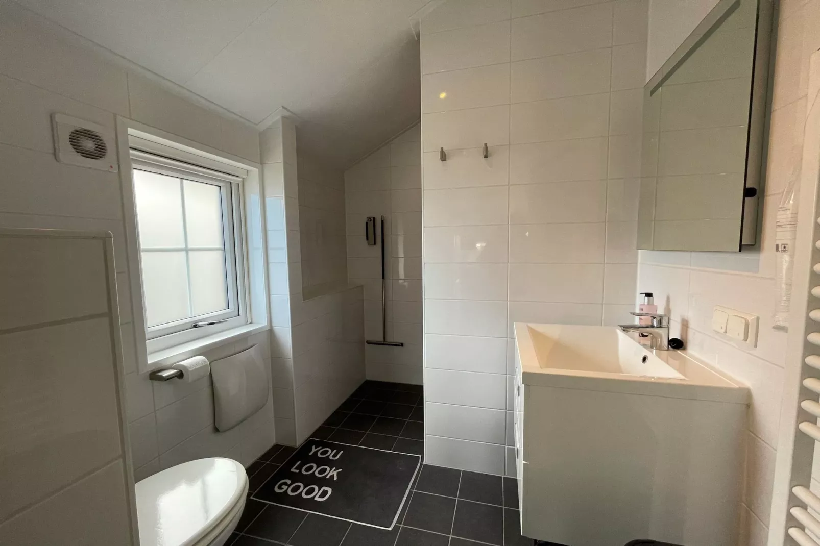 Boerderijchalet nr 2-Bathroom
