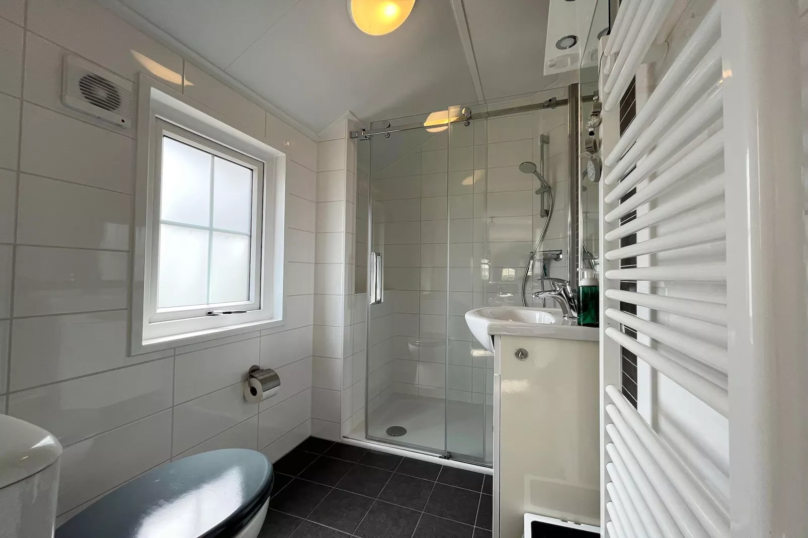 Boerderijchalet nr 5-Bathroom