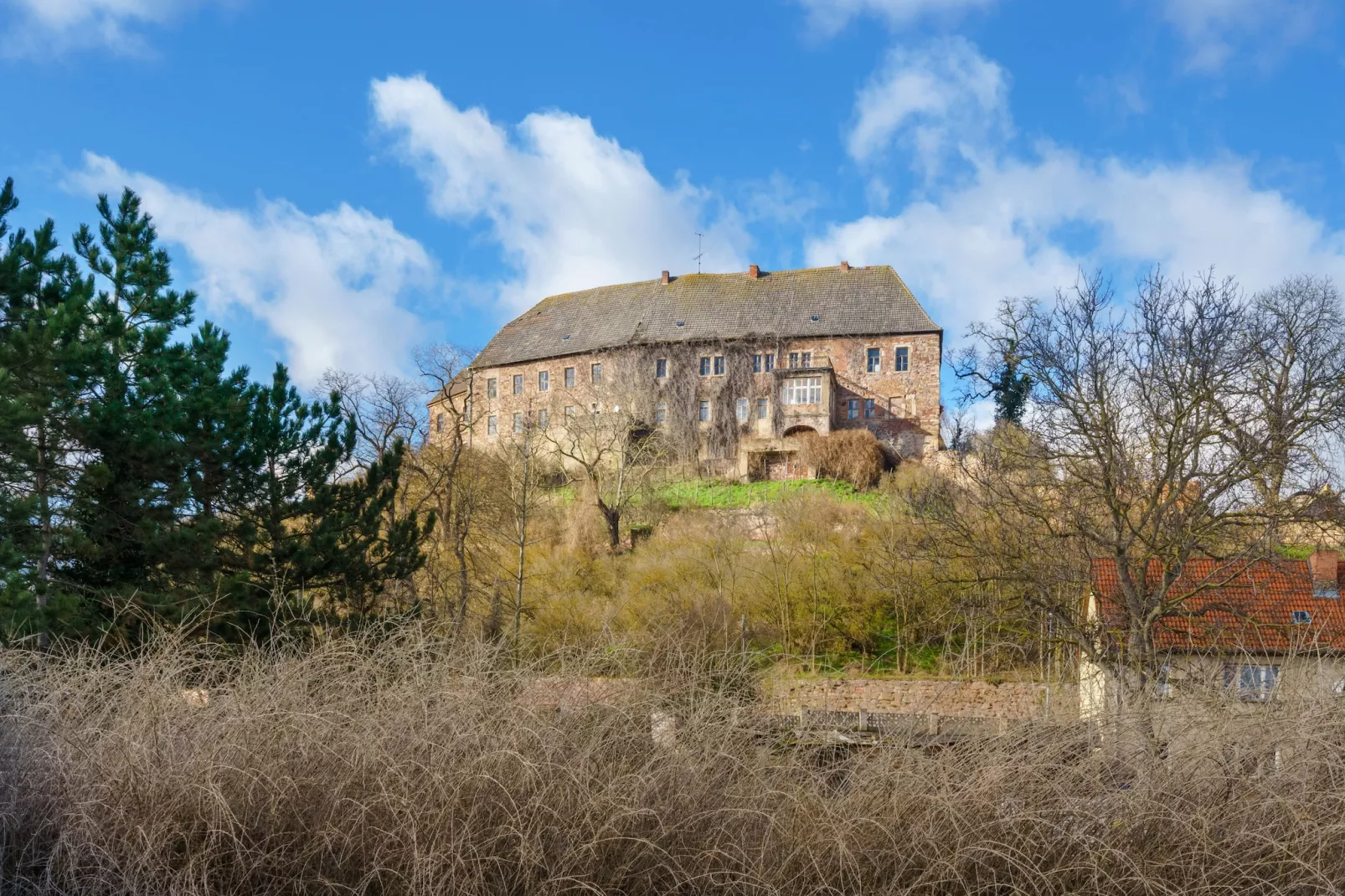 Ferienwohnung im Schloss Friedeburg-Areas summer 1km