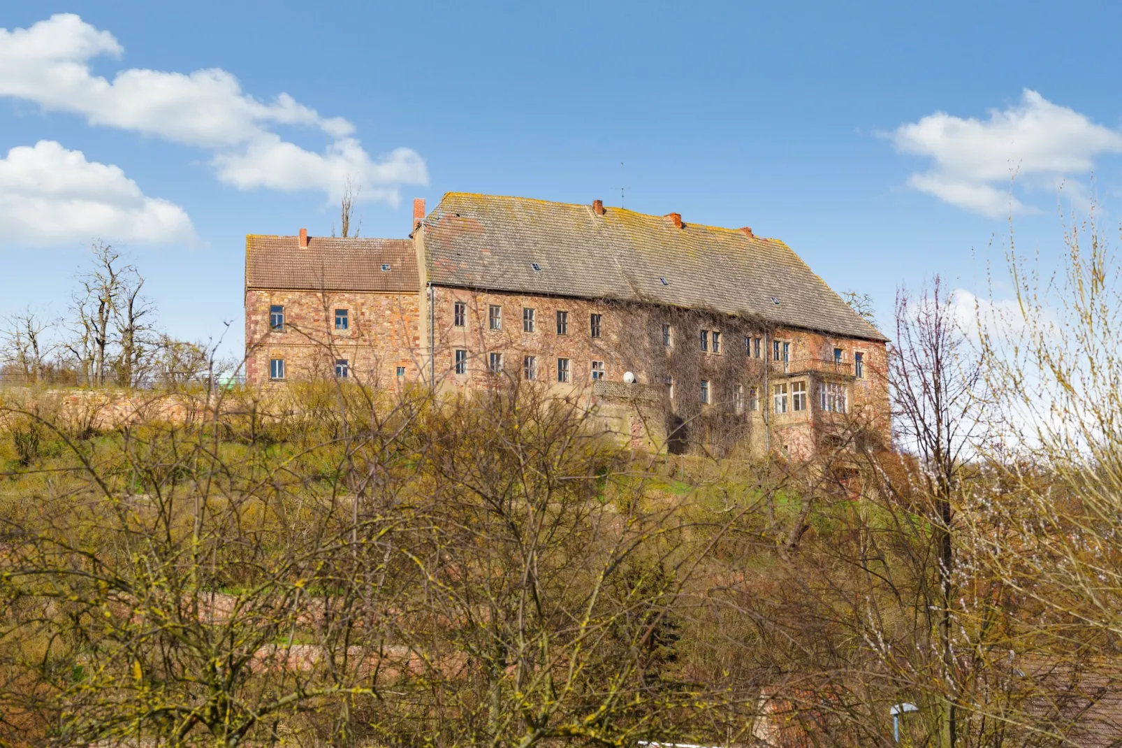 Ferienwohnung im Schloss Friedeburg-Areas summer 1km