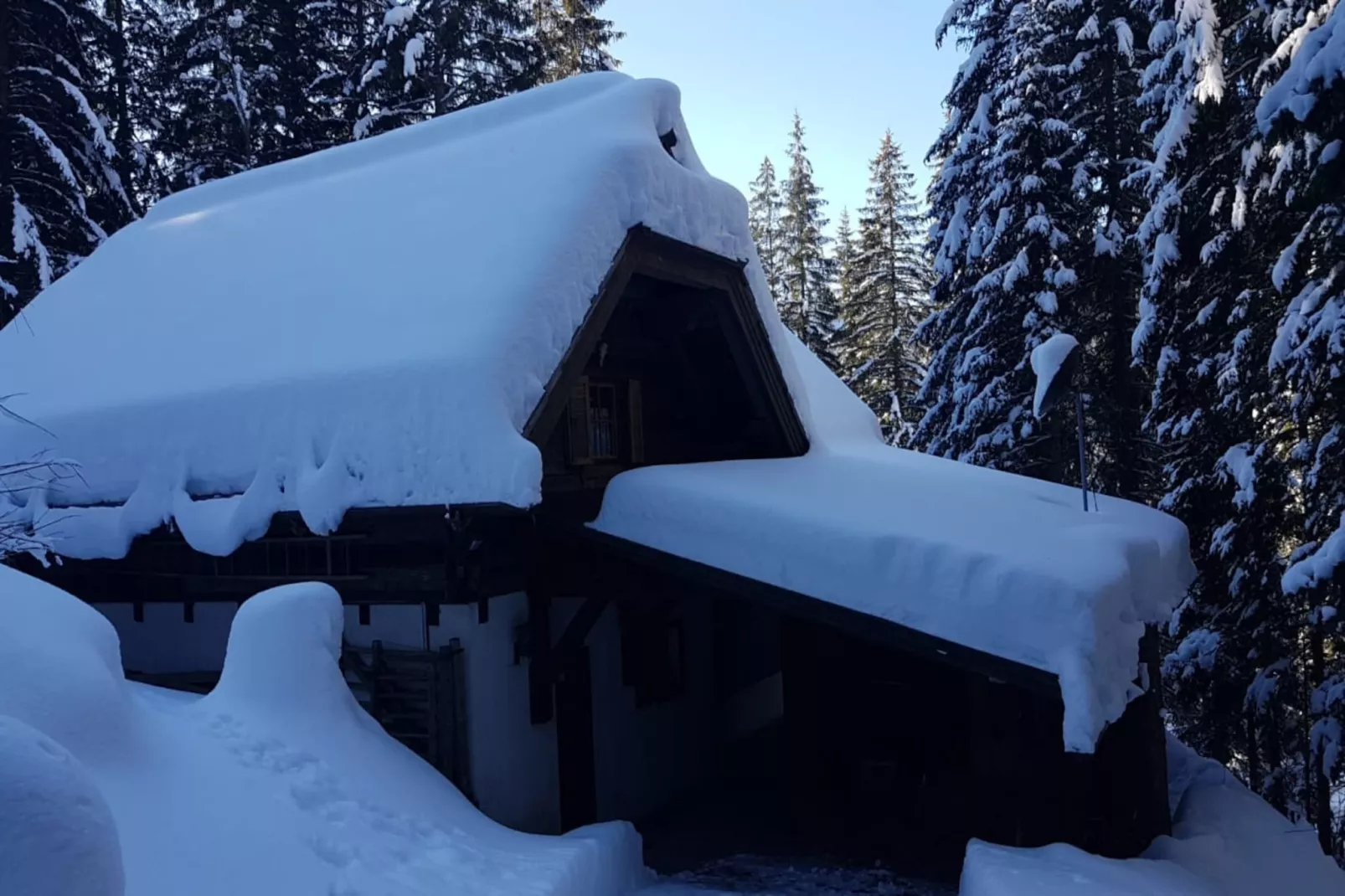 Chalet Hüttentraum-Außenbereich