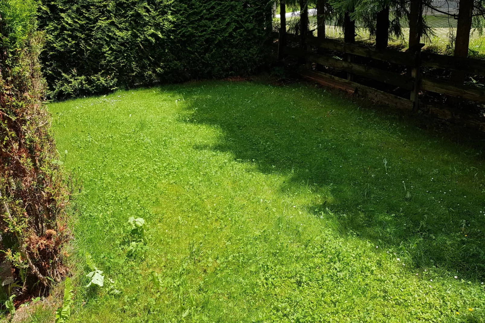 Haus Nora Top 1-Gardens summer