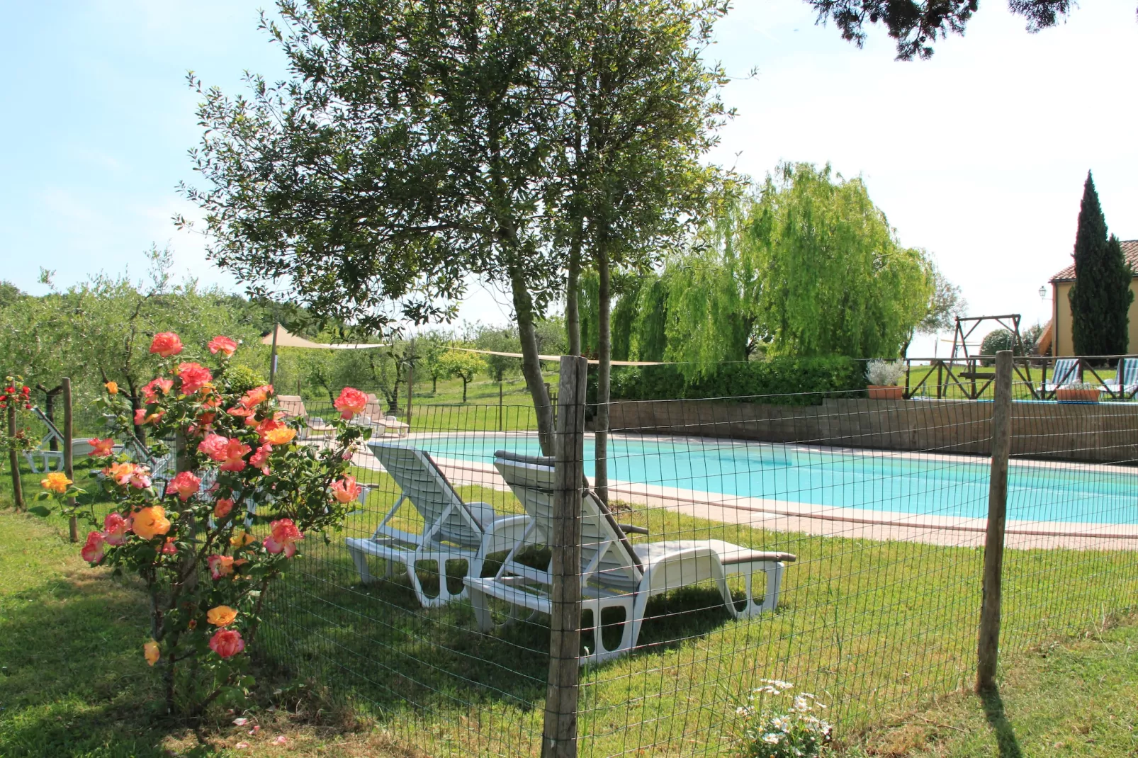 Il Chicco-Pool